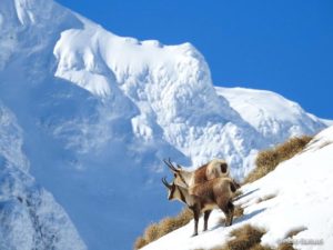 La magia dei paesaggi del Parco innevato